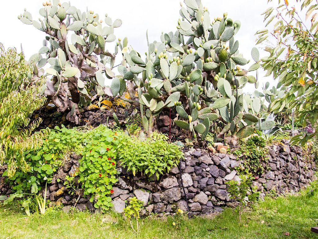 Casa Macchia Villa Giarre Dış mekan fotoğraf