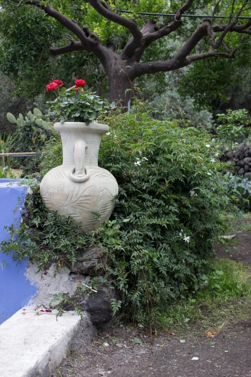 Casa Macchia Villa Giarre Dış mekan fotoğraf