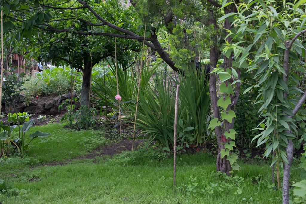 Casa Macchia Villa Giarre Dış mekan fotoğraf