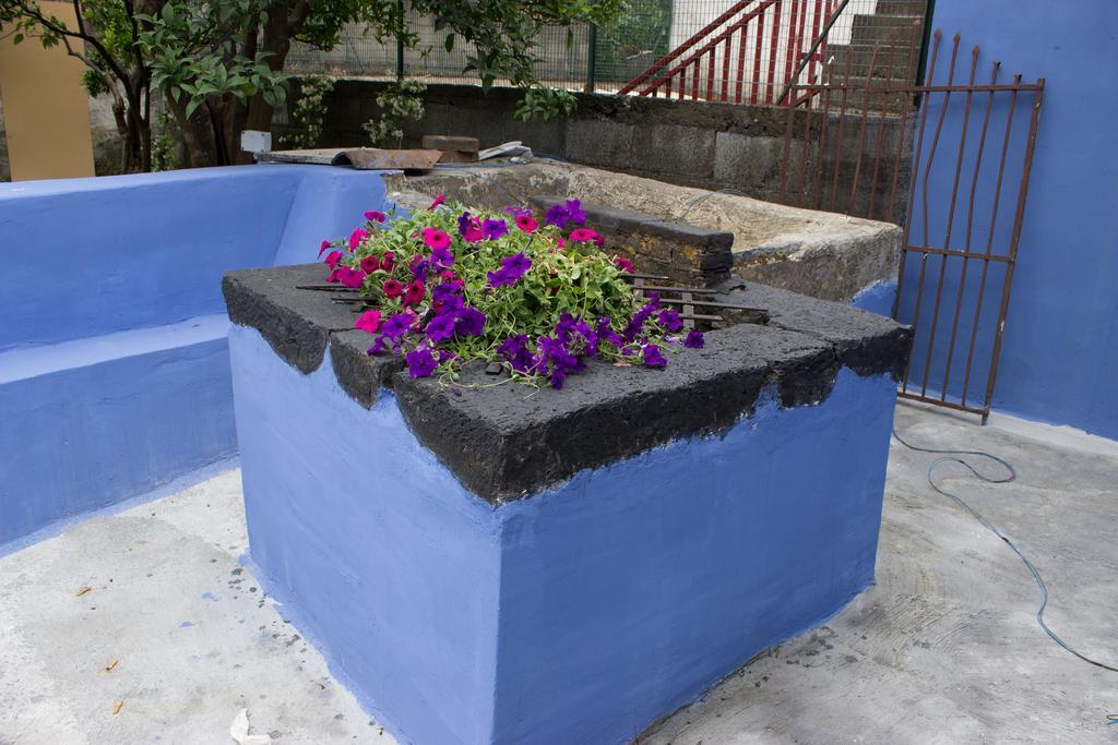 Casa Macchia Villa Giarre Dış mekan fotoğraf